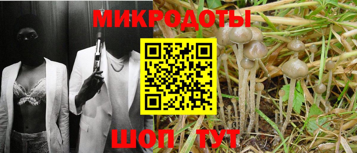 Псилоцибиновые грибы мицелий Одинцово