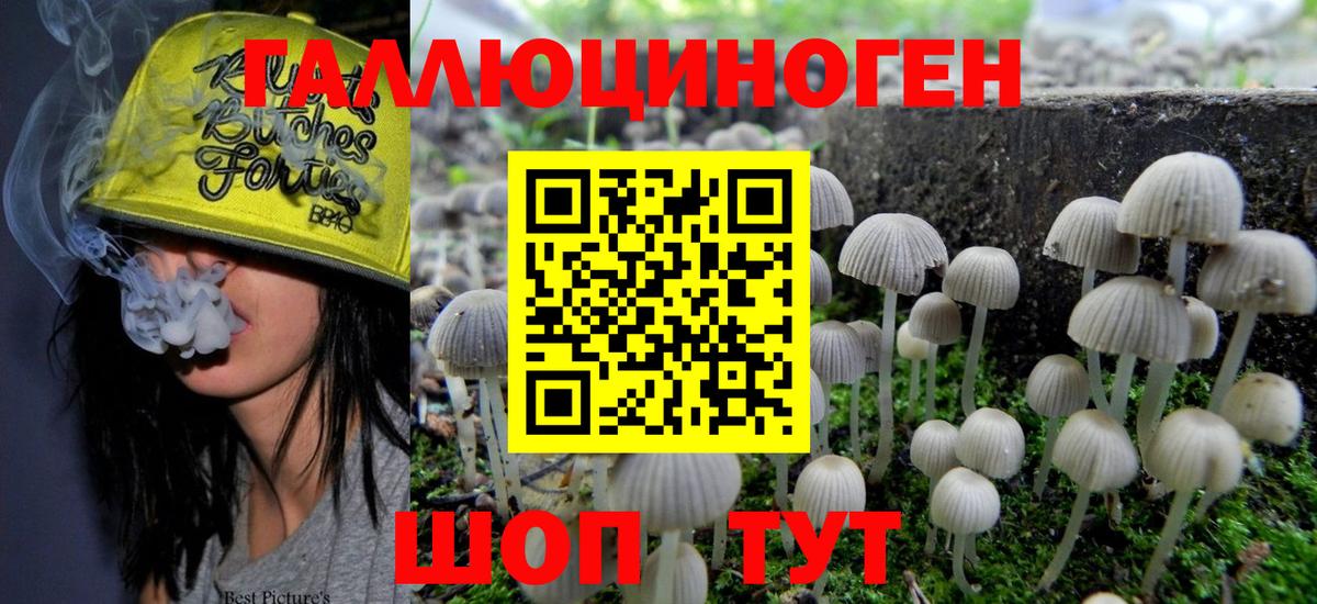 Псилоцибиновые грибы Psilocybine cubensis  Вход с VPN  Одинцово  Галлюциногенные грибы MAGIC MUSHROOMS 